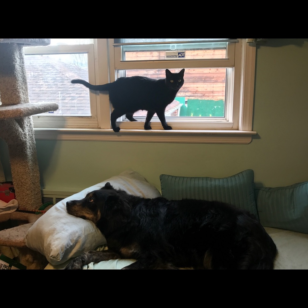 Meet your Posher, Mrs